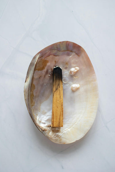Palo Santo dřívka - Maravilla.cz