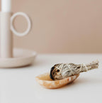 Šalvěj Bílá vykuřovací svazek ~ pochodeň