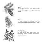 Interiérový a textilní sprej – Forest Bathing