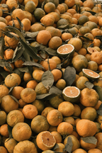 Bylinca Bylinný čaj Citrusové potěšení 80g