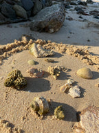 Almara Soap Ručně vyrobené mýdlo Dead Sea